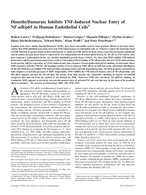 Pdf Dimethylfumarate Inhibits Tnf Induced Nuclear Entry Of Nf B P65