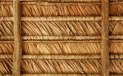 Index Of Uploadsthatchedroof