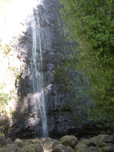 Quarterlife Adventures: Manoa Falls - Manoa, Hawaii