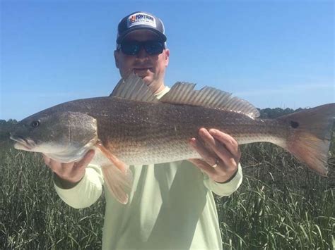 May River Excursions Daufuskie Island Tours Bluffton Sc