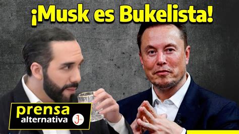 Elon Musk Y Bukele Encienden Las Redes Contra Eeuu Youtube