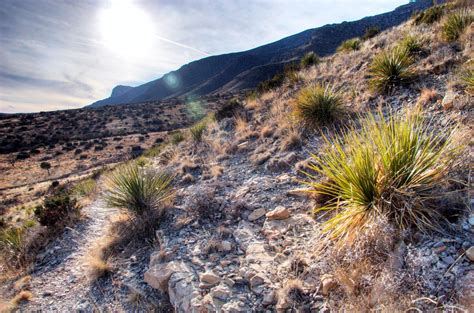 Hiking to Guadalupe Peak in Texas 2024-2025 - Rove.me