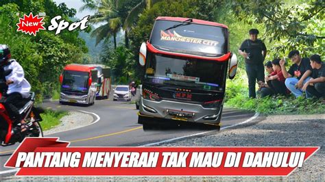 Bus Padang Jakarta Pantang Menyrah Tak Mau Di Dahului Mpm Npm