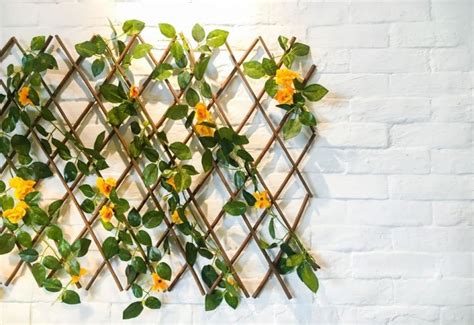 9 Creative Vine Room Decor Ideas, Bring Life into Your Interior Design