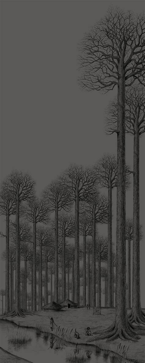 Black Oak — The Fenland Black Oak Project