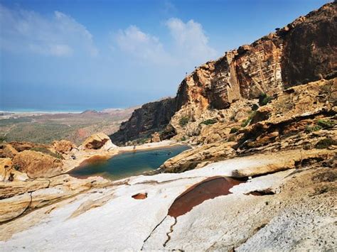 Socotra Island: All You Must Know Before You Go (2024) - Tripadvisor