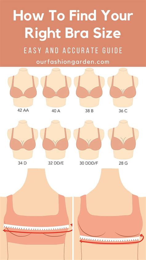 How To Find Your Right Bra Size Bra Fitting Guide Bra Size Calculator Bra Sizes