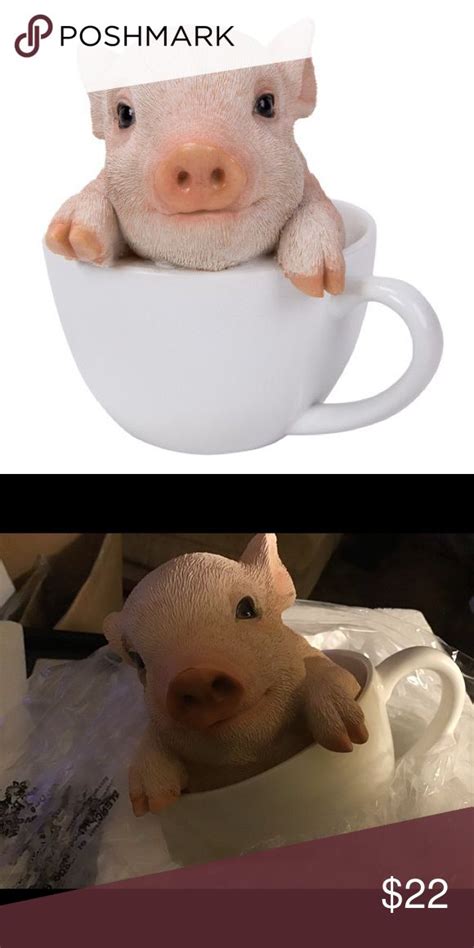 Teacup Pigs Toy