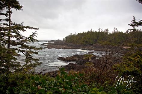 Wild Pacific Trail Coastline - Ucluelet, Vancouver Island, British ...