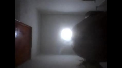 Huge Hot Ass XVIDEOS