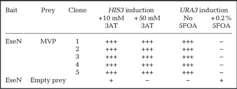 Table 1 From Edwardsiella Ictaluri Type Iii Secretion System T3ss