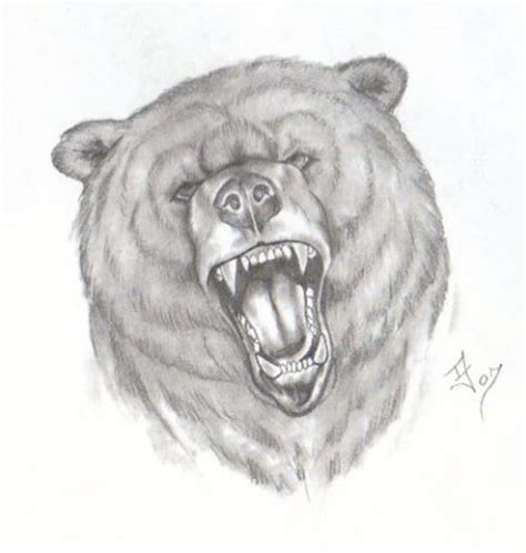 Angry Bear Face Drawing