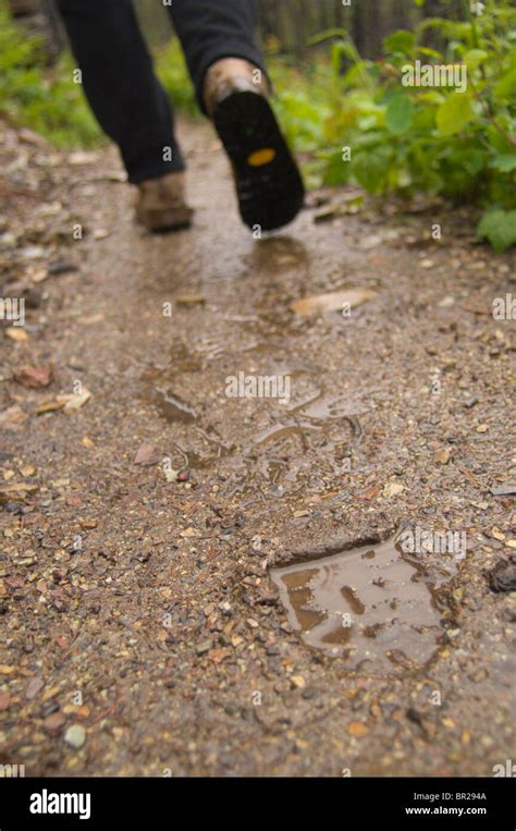 Boot Prints On Muddy Hiking Trail Stock Photo Alamy