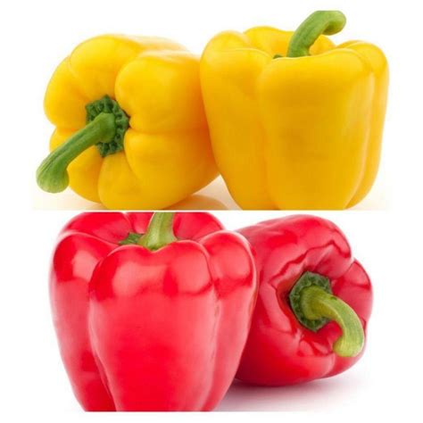 A Grade Red Yellow Capsicum Maharashtra Packaging Size Kg At Rs