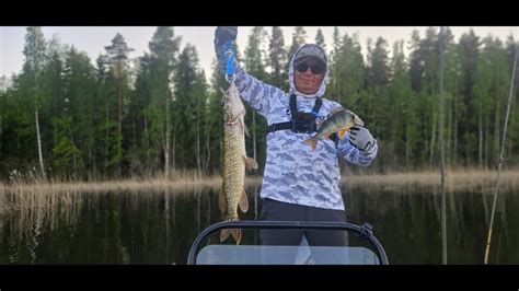 Fishing in Finland.Part 2.Pike,perch and zander.Рыбалка в Финляндии ...