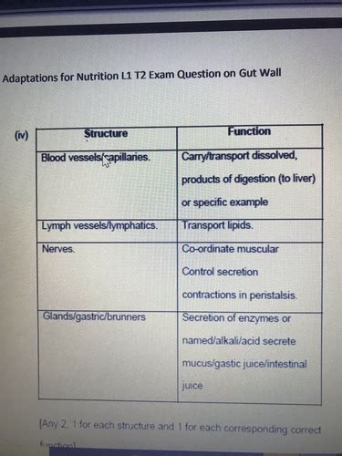 Biology Adaptations For Nutrition Flashcards Quizlet