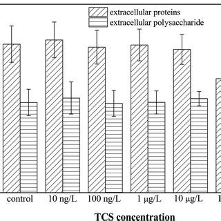 A Biofilm Formation Of B Subtilis In Different Tcs Concentrations