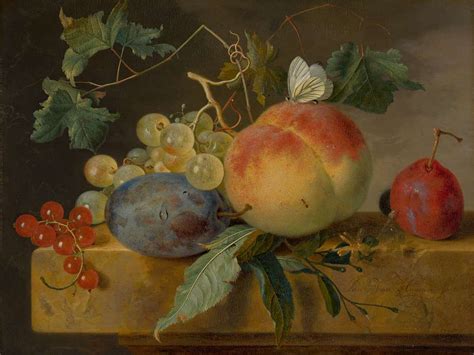 Jan Van Huysum Fruit Still Life 70 Mauritshuis PICRYL Public