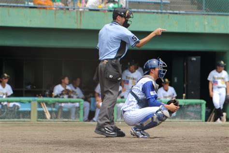 日本海リーグ 北陸エリアを活動拠点にするプロ野球独立リーグ