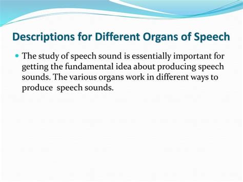 The Organs Of Speech Ppt