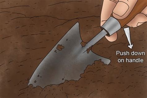 How To Use A Garden Trowel To Dig A Hole For A Plant Wonkee Donkee Tools