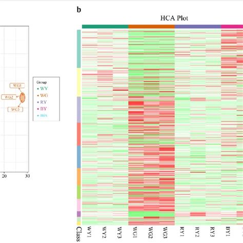 Results Of Pca And Hca Analyses Of 12 Samples From S Glabra A In Pca Download Scientific