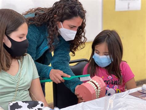 Ii Encuesta Percepci N De Profesionales De La Odontolog A Sobre Salud