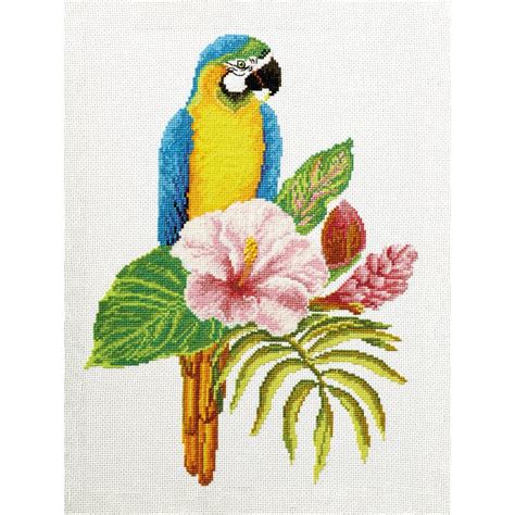 Kit Broderie Point De Croix Perroquet Macaw