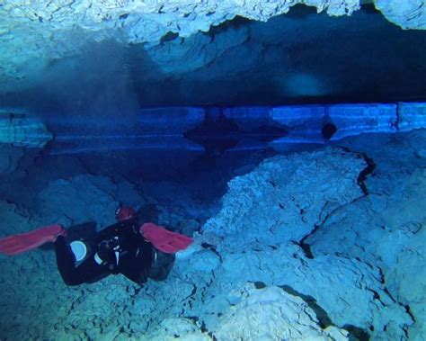 Cenote Tajma Ha Cenote Diving Cave Diving Training Akumal