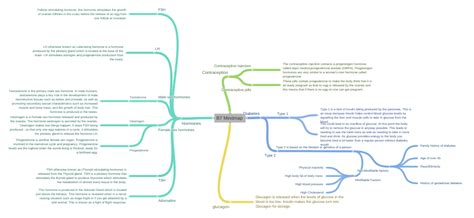 B7 Mindmap Hormones Female Sex Hormones Oestrogen Oestrogen Is A…