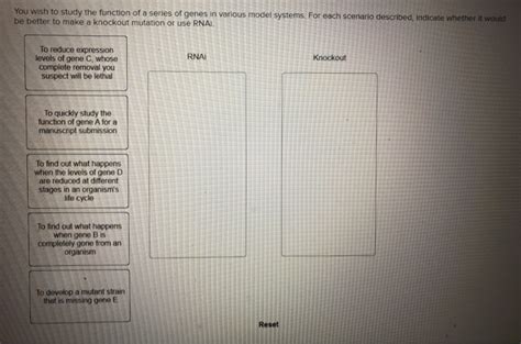 Solved A scientist wants to create a transgenic plant that | Chegg.com 