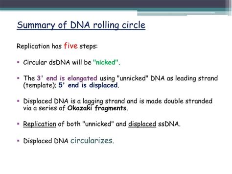 Rolling Circle Replication | PPT