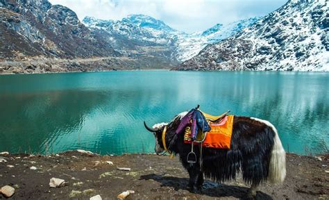 Best Time To Visit Sikkim Weather Climate And Tourist Season Flamingo Travels