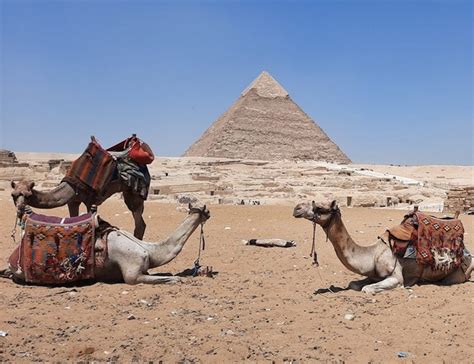 افضل 5 انشطة في اهرامات الجيزة القاهرة