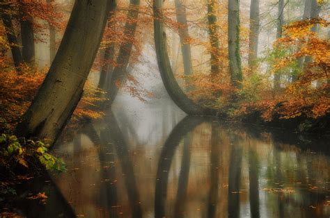 Dreaming by Martin Podt