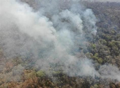 Fuego maldito 8 000 hectáreas de selva quemadas en las Yungas jujeñas