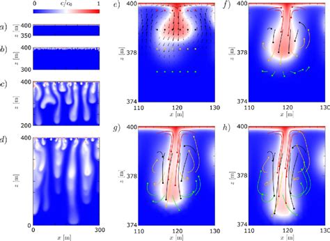 Snapshots Of The Concentration Distribution During Solutal Convection