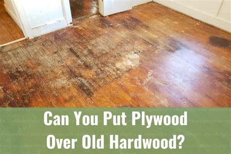 Can You Put Plywood Over Old Hardwood How To Ready To Diy