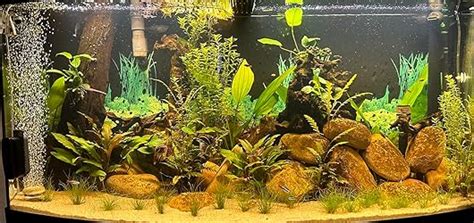 FZONE 2 5L CO2 Anlage Aquarium System Kohlendioxid Reaktor Kit Mit