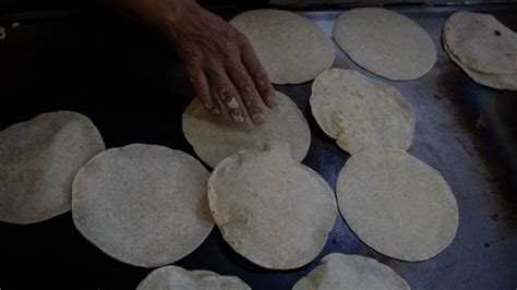 Receta Sencilla Para Preparar Unas Tortillas De Maíz En Casa Gastrolab