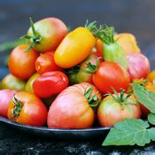 Tomate Torino Origines Culture Et Consommation PagesJaunes