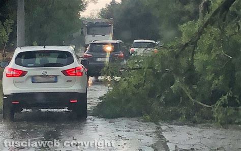 Venti da forti a burrasca è allerta meteo nel Lazio Tusciaweb eu