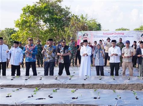 Pesantren As Diayah Siapkan Lahan 100 Hektare Untuk Pertanian Dan