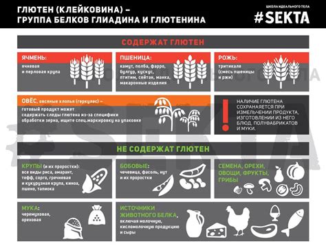 Глютен: стоит ли его бояться? - Sektascience: научно-популярный журнал