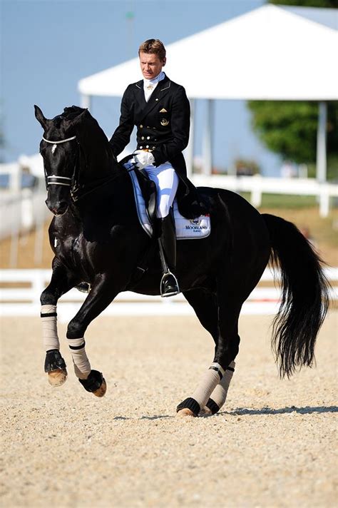 Edward Gal And Totilas By Lena Leirich On 500px Eventing Horses