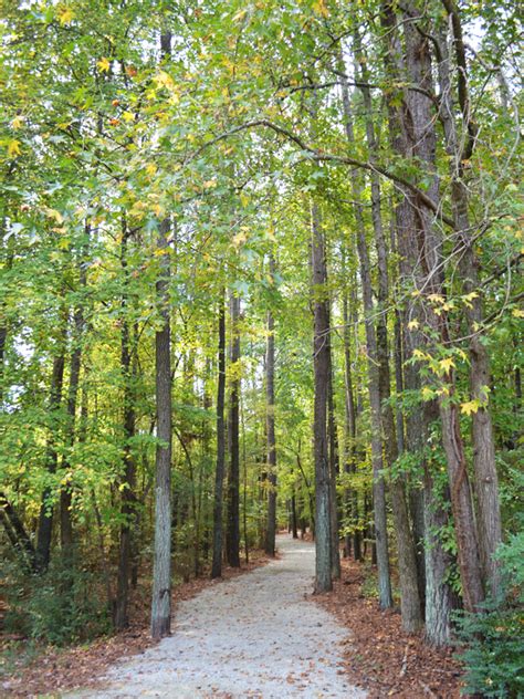 Hiking Trails Near Me Kennesaw - Hiking Info