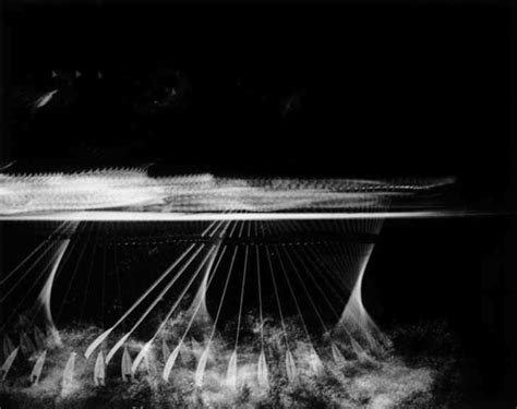 What The Naked Eye Cannot See 20 Pics