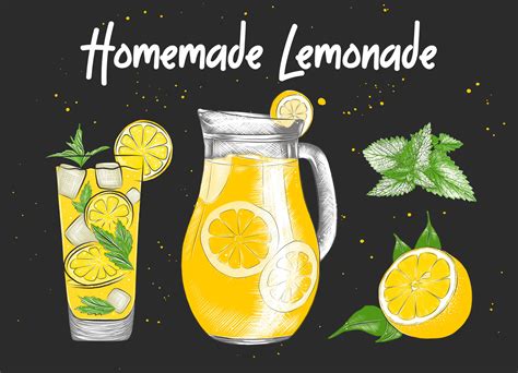 Vector Engraved Style Lemonade Drink Carafe Glass Lemon Mint Leaves Illustration For Posters