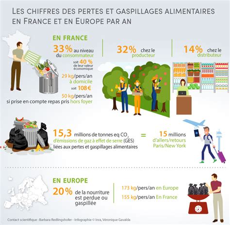 Infographie Pertes Et Gaspillages Alimentaires De Quoi Parle T On