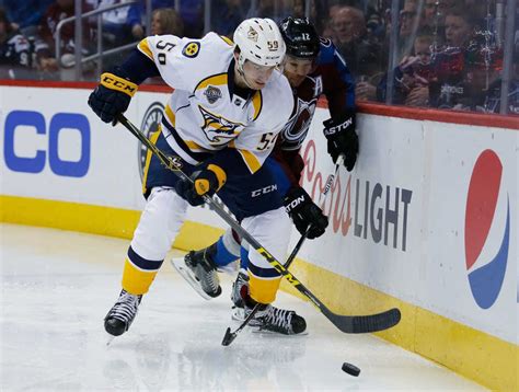 Mike Fisher Predators